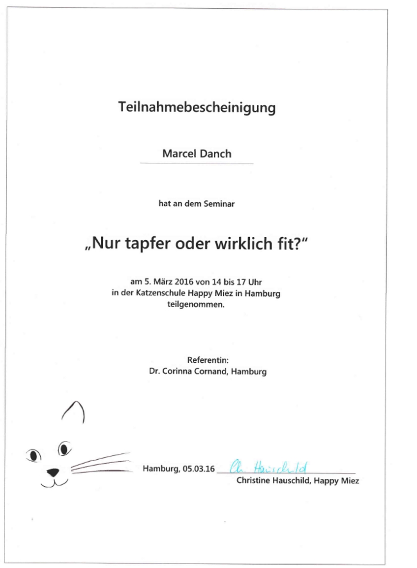 Qualifikation GOLD CAT Katzenbetreuung Hamburg Marcel Danch. Katzenseminar Nur tapfer oder wirklich fit in der Katzenschule HAPPY Miez