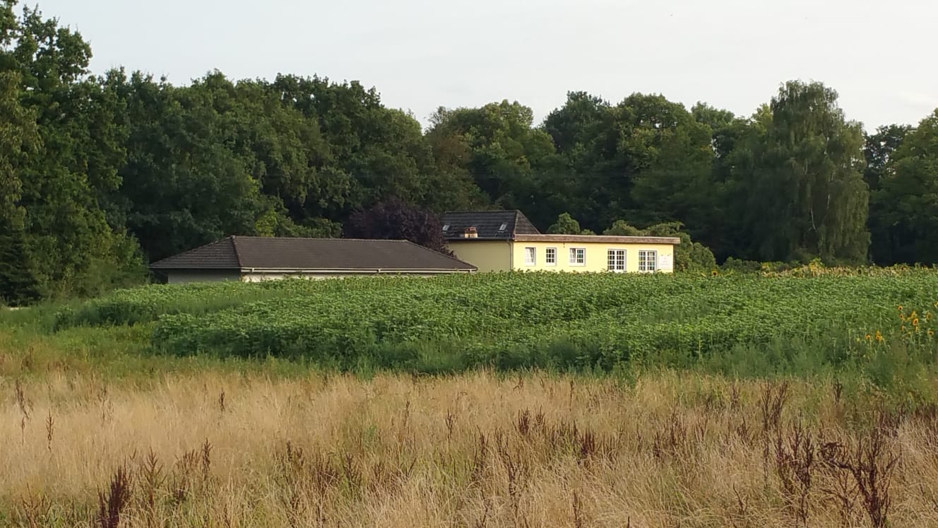 GOLD CAT HOTEL Hamburg und Kreis Stormarn in Schleswig Holstein. Die besondere Katzenpension